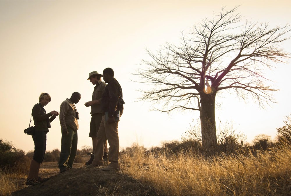 kigelia-ruaha